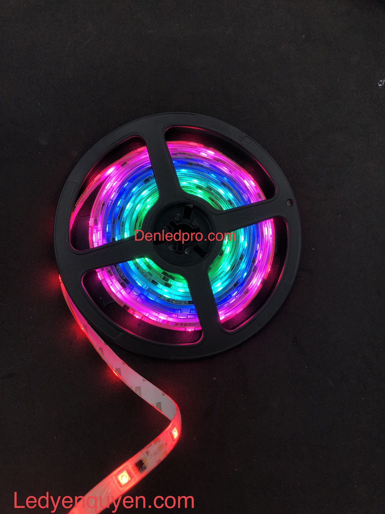 LED Dây 12v ( 5m / cuộn )